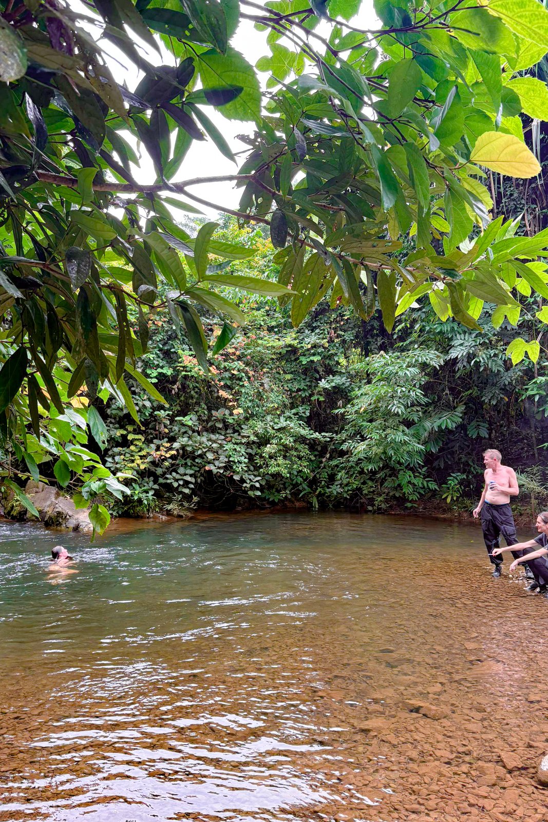 The hidden freshwater pool under jungle canopy — rocky riverbed, clear water, people swimming