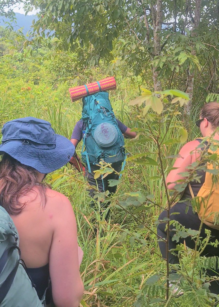 Three trekkers pushing through tall jungle grass, one waving at the camera