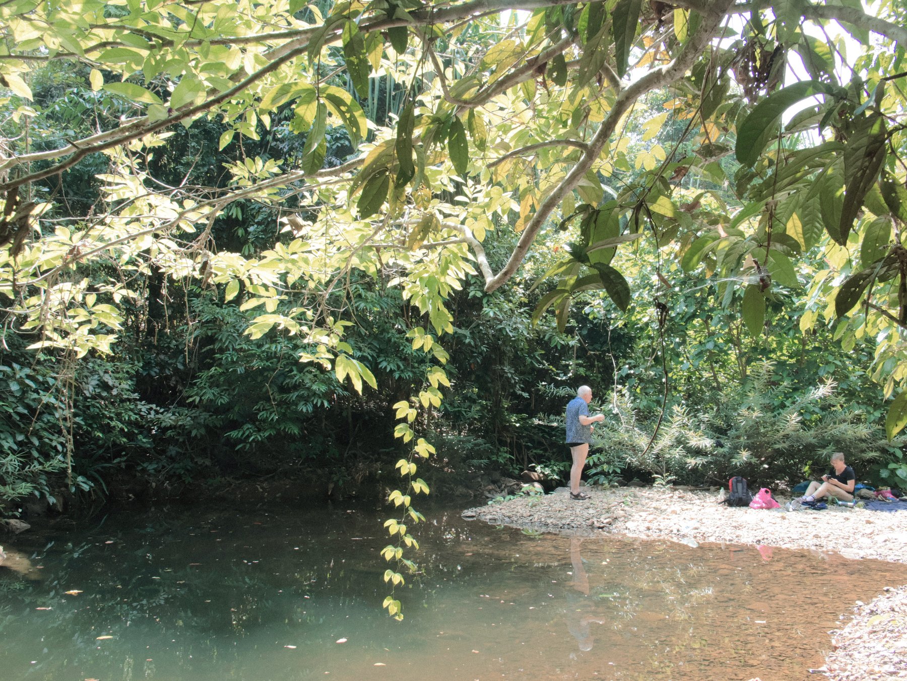 The hidden freshwater pool under jungle canopy, with hikers resting on the rocky shore