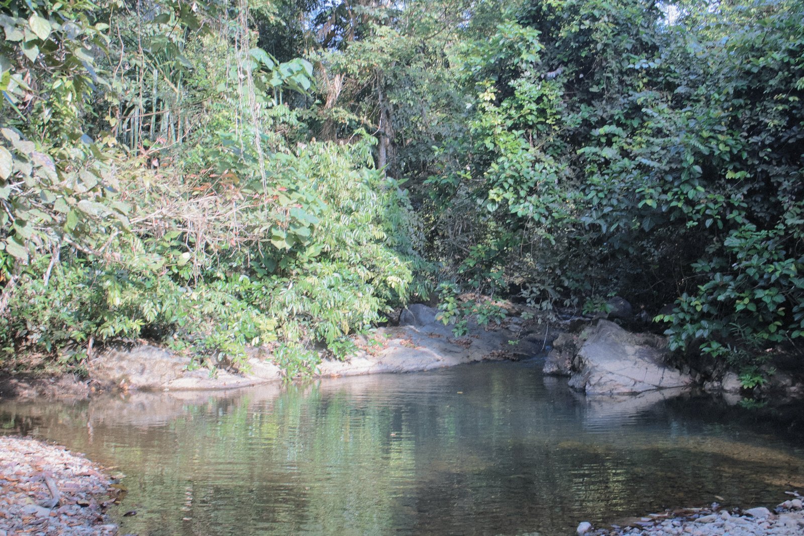 The freshwater pool with mossy rocks and reflections
