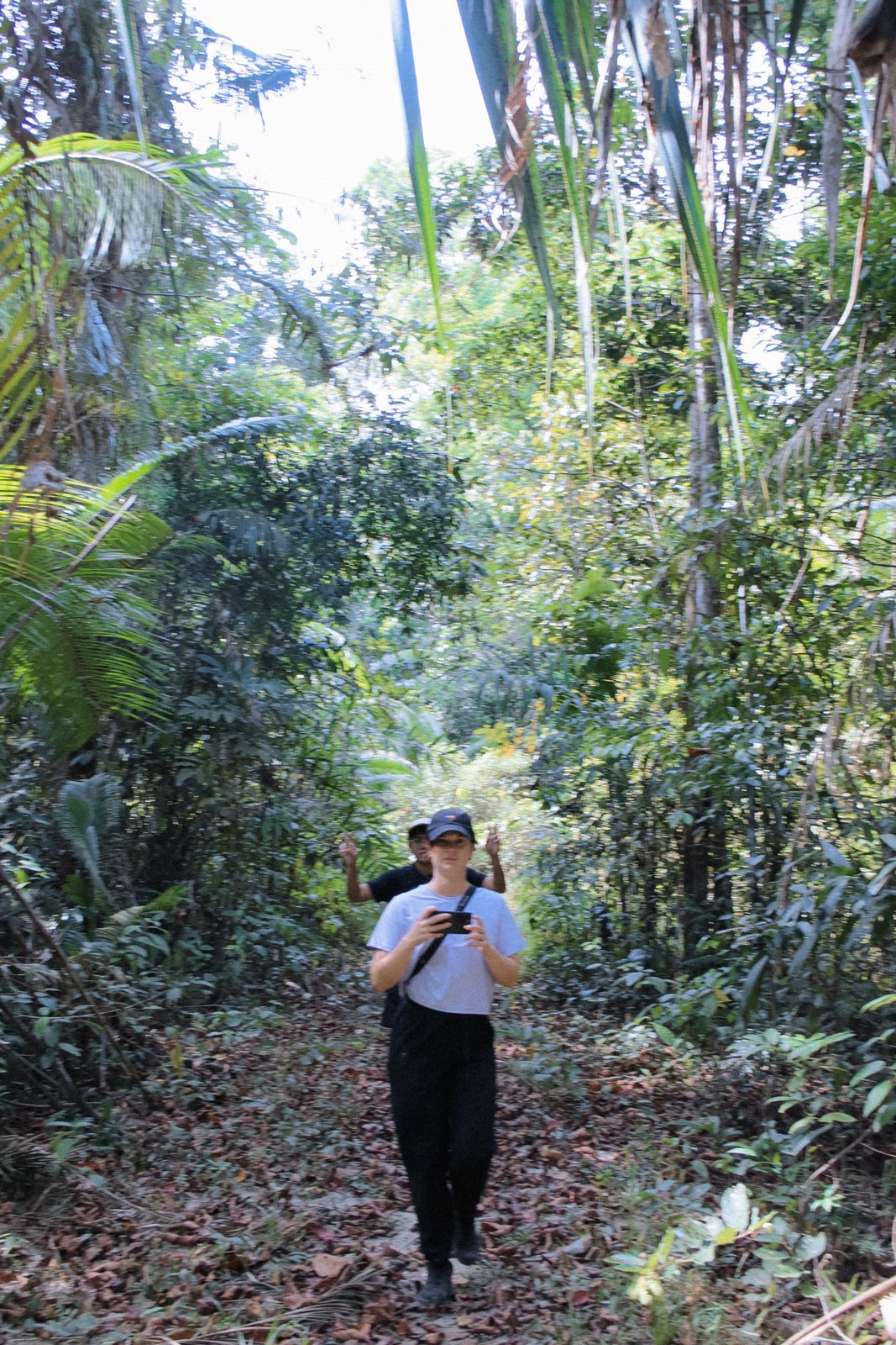 Trekker walking under tall jungle canopy