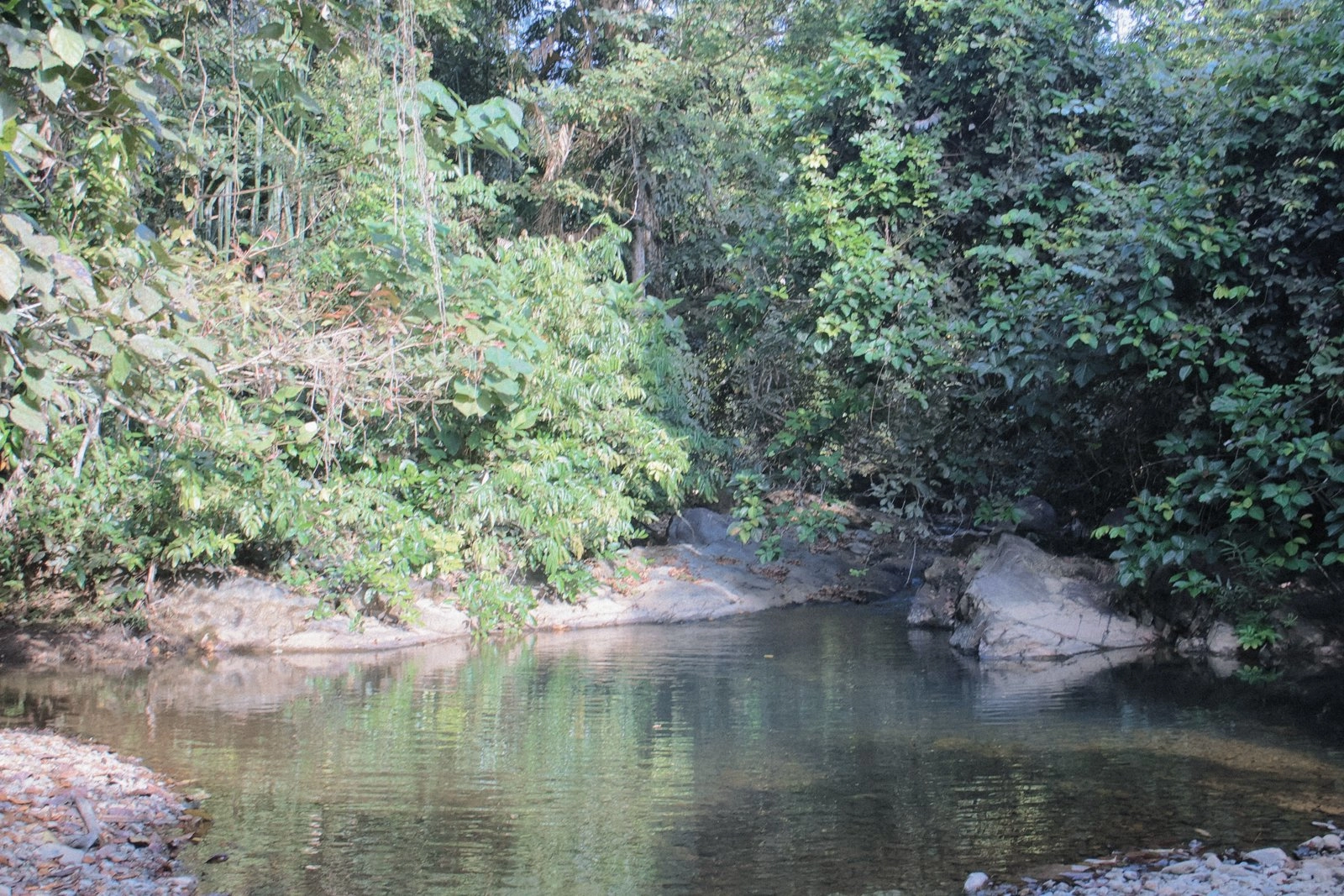 The freshwater pool with mossy rocks and reflections