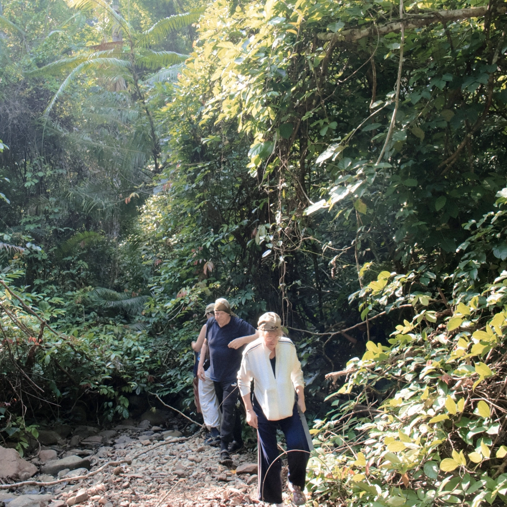 Trekkers walking along the jungle trail